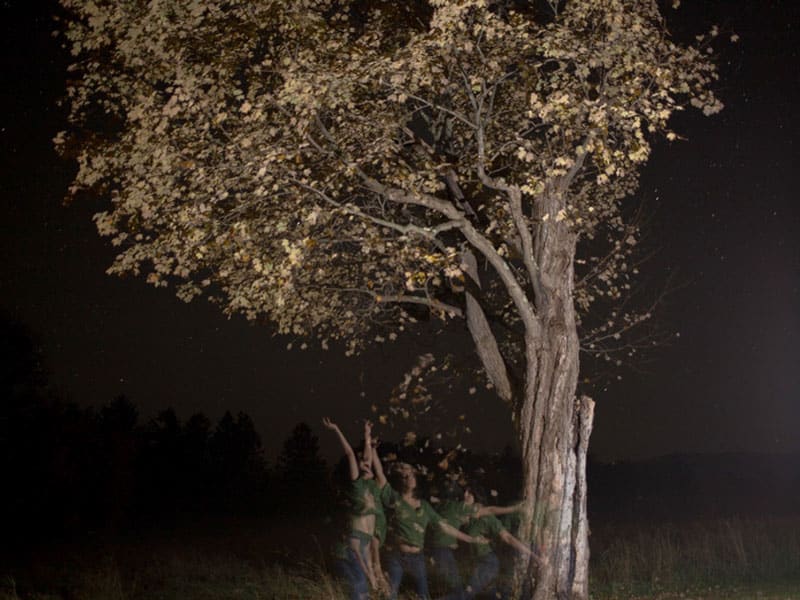 image of person moving under tree at night