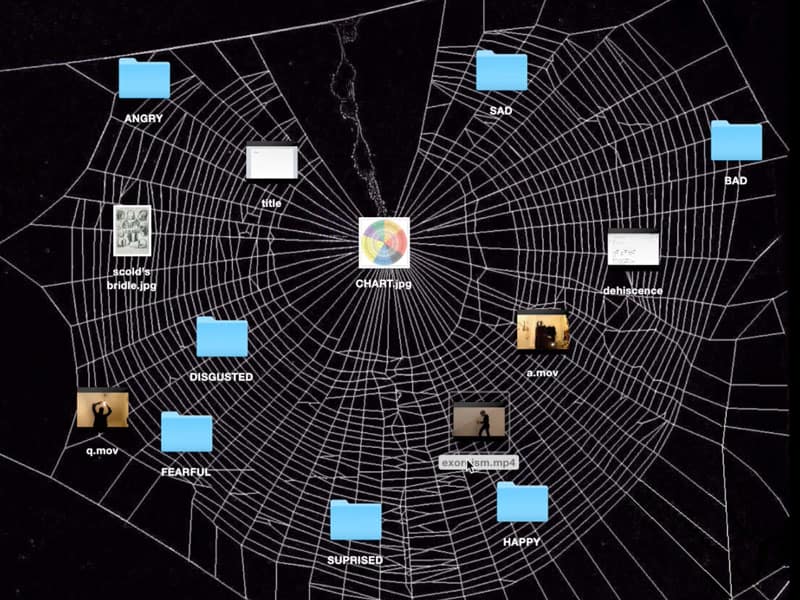 Screen grab of computer screen with a spiderweb background and icons of movie files and folders that seem to be to be caught in the spider web and are named for emotions such as "HAPPY," "SURPRISED," "FEARFUL," etc... The icon in the middle of the spider web is a color chart and is labeled "Chart.jpg"